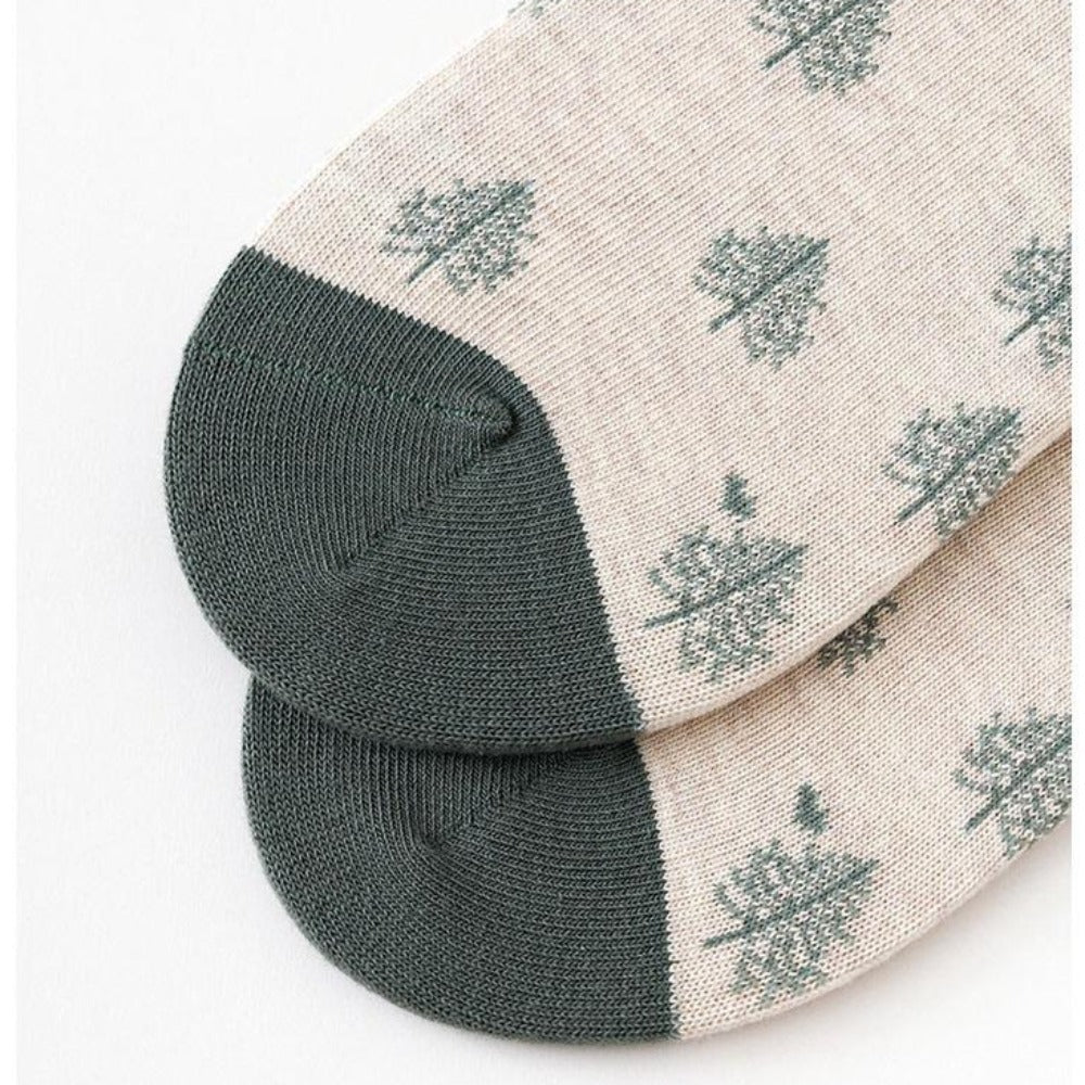 12_c927a613-a711-44c9-b0d2-cbb18615998c