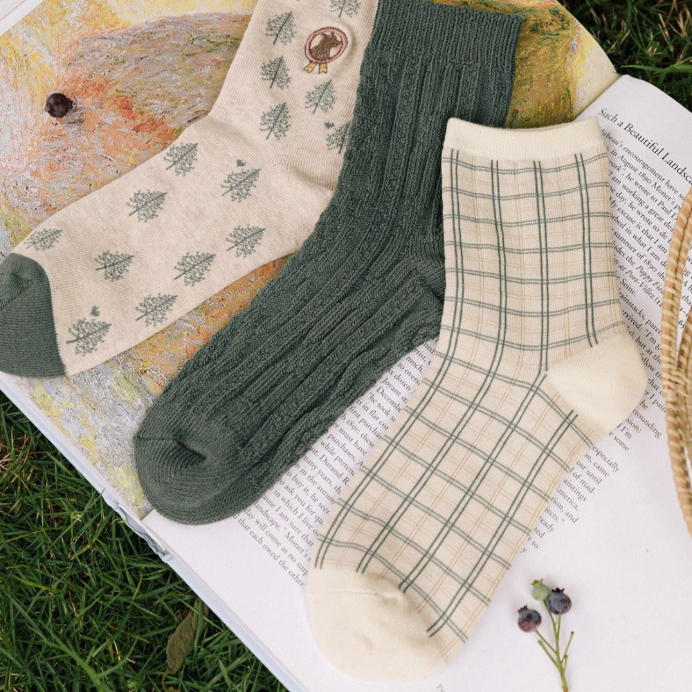 3_897d81e6-47c7-42b4-a725-31cd53e3297b